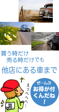 買う時だけ、売る時だけでも!他店にある車まで、ぜ〜んぶお得が付くんだね!